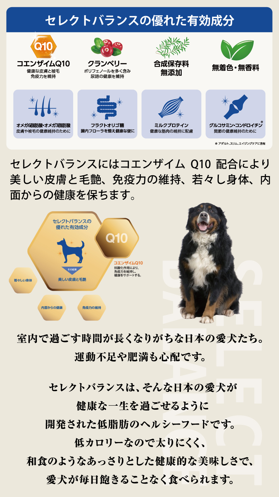 SELECT BALANCE セレクトバランス アダルト ラム 中粒 3kg 成犬 羊肉