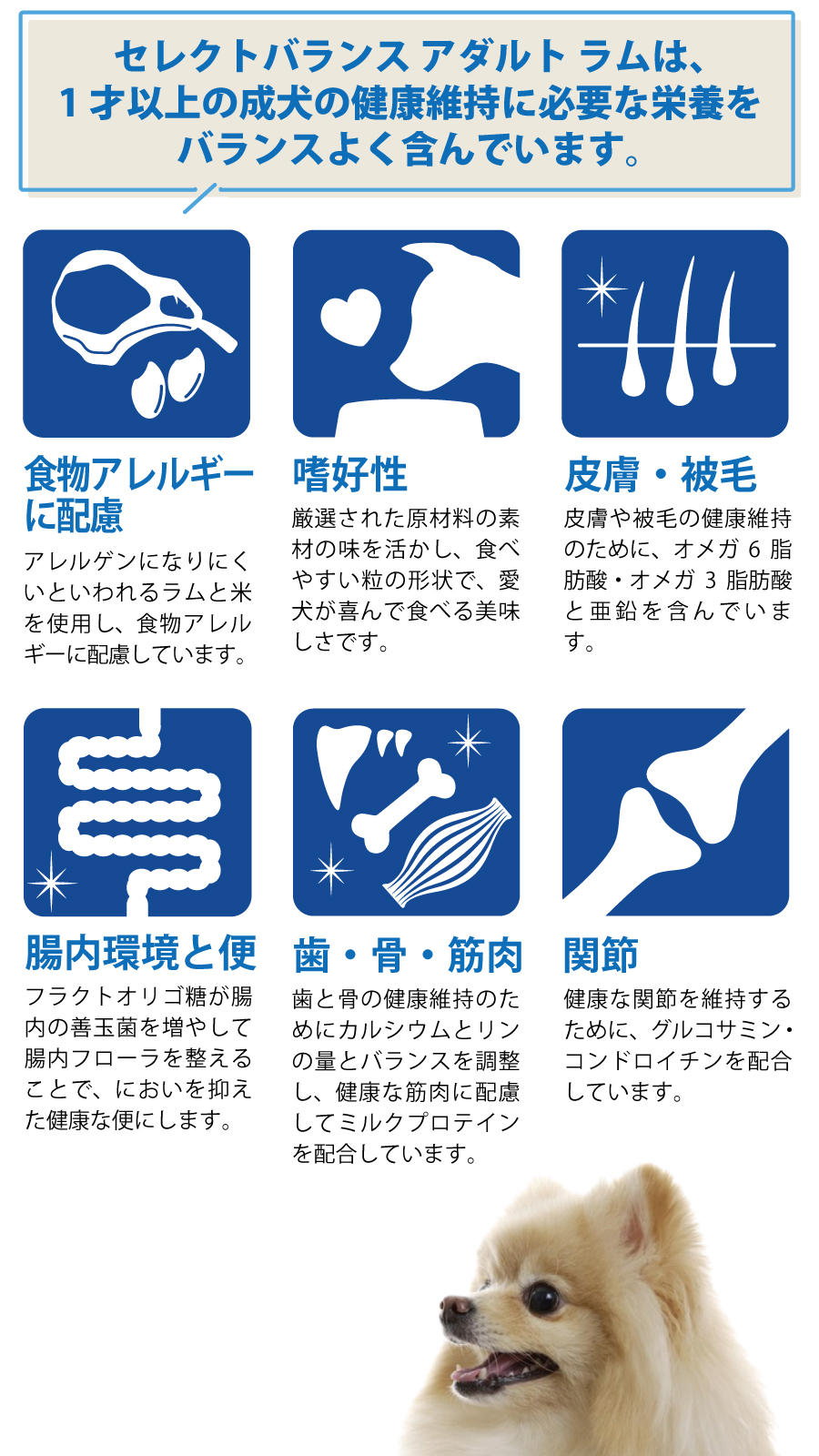 SELECT BALANCE セレクトバランス アダルト ラム 中粒 3kg 成犬 羊肉