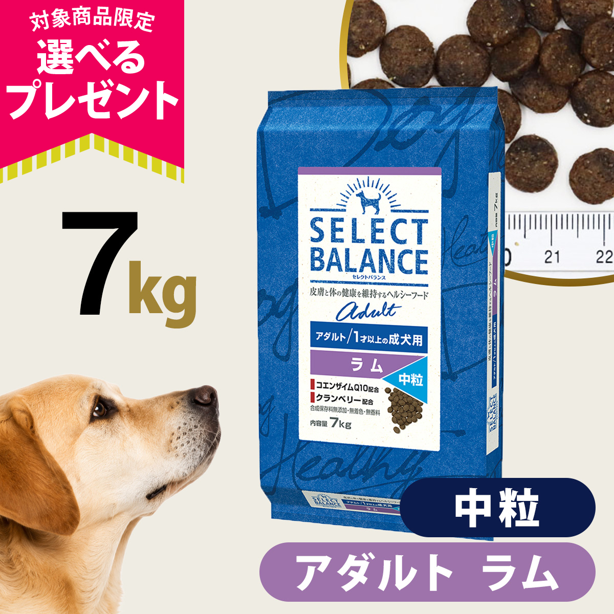 (選べるプレゼント付き)セレクトバランス アダルト ラム 中粒 7kg 成犬 羊肉 １才以上成犬 犬 ドッグフードドライ