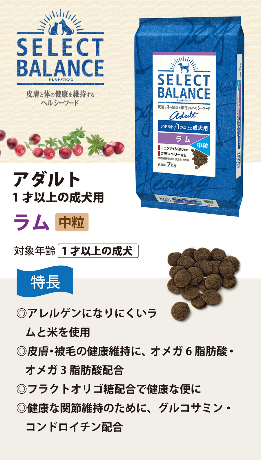 SELECT BALANCE (選べるプレゼント付き)セレクトバランス アダルト
