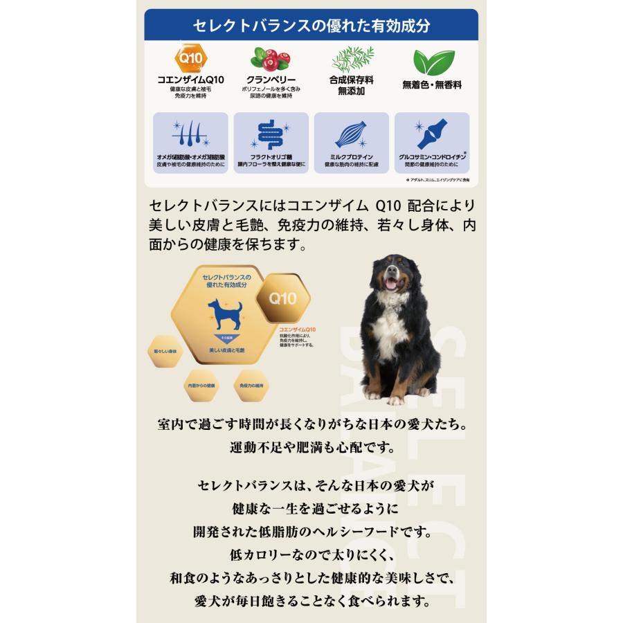 (選べるプレゼント付き)セレクトバランス パピー チキン 小粒 7kg 犬 ドッグフード 子犬 母犬 ドライ 仔犬 授乳期 (選べるプレゼント付き)セレクトバランス パピー チキン 小粒 7kg 犬 ドッグフード 子犬 母犬 ドライ 仔犬 授乳期