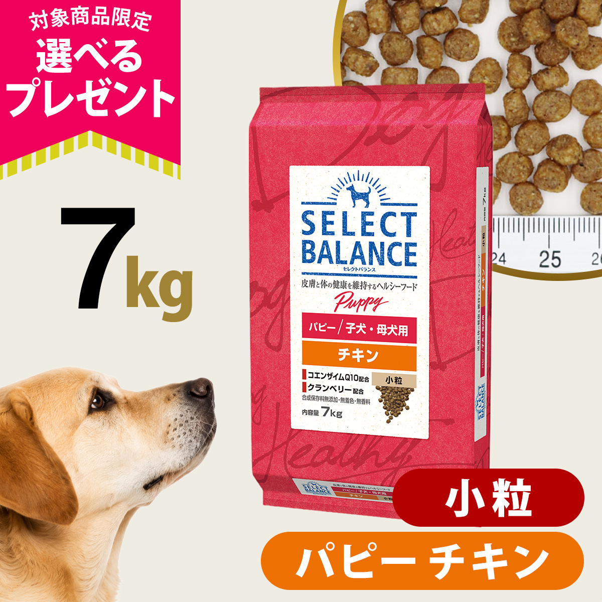(選べるプレゼント付き)セレクトバランス パピー チキン 小粒 7kg 犬 ドッグフード 子犬 母犬 ドライ 仔犬 授乳期 (選べるプレゼント付き)セレクトバランス パピー チキン 小粒 7kg 犬 ドッグフード 子犬 母犬 ドライ 仔犬 授乳期