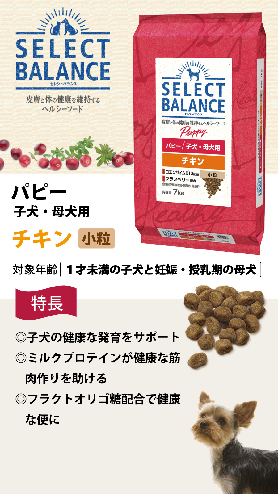 (選べるプレゼント付き)セレクトバランス パピー チキン 小粒 7kg 犬 ドッグフード 子犬 母犬 ドライ 仔犬 授乳期 (選べるプレゼント付き)セレクトバランス パピー チキン 小粒 7kg 犬 ドッグフード 子犬 母犬 ドライ 仔犬 授乳期