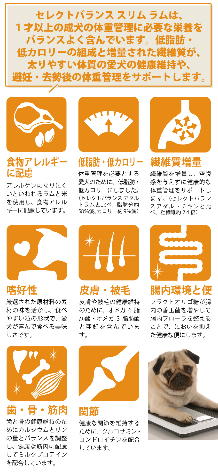 セレクトバランス　スリム　ラム　7kg セレクトバランス 犬スリムラム 小粒 7kg（4541851006170）｜犬フード