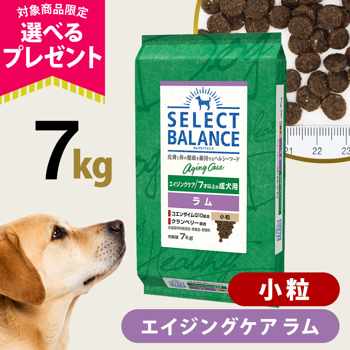 (選べるプレゼント付き)セレクトバランス エイジングケア ラム 小粒 7kg 7才以上 成犬 シニア 高齢犬 犬 ドッグ 羊 米 玄米