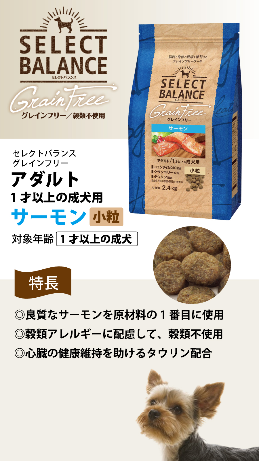 SELECT BALANCE セレクトバランス グレインフリー アダルト サーモン