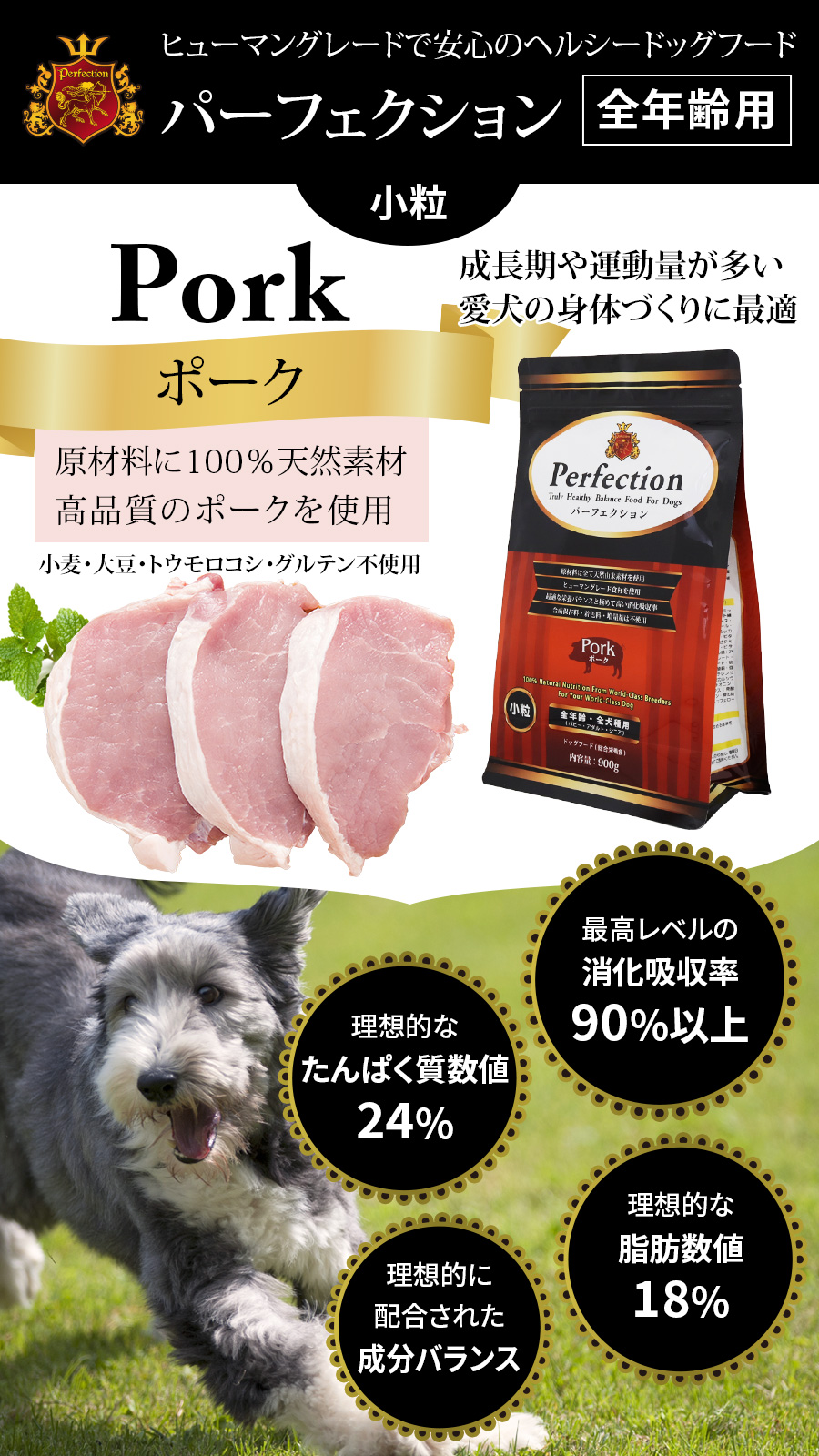 (選べるプレゼント付き)パーフェクション ドッ...の詳細画像1