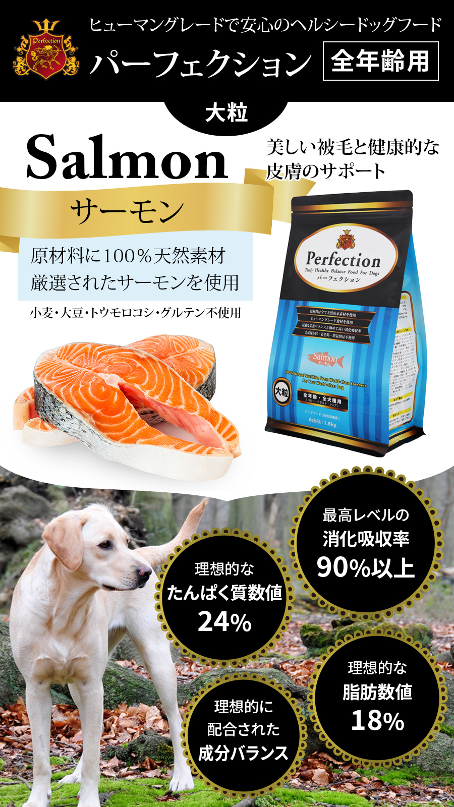 パーフェクション サーモン 大粒 6kg　ドッグフード Perfection（パーフェクション） (選べるプレゼント付き)パーフェク