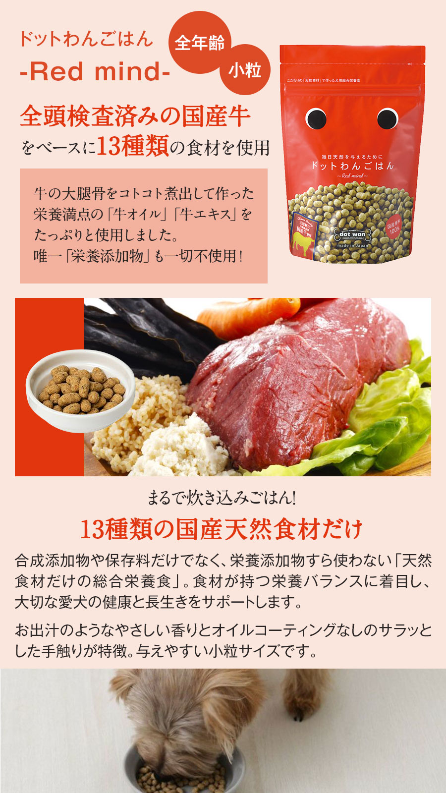 ドットわん ごはん-Red mind お得用パック 3kg おまけ付き】 dotwan ドットわん Red mind お得用パック 3kg（1kg×3