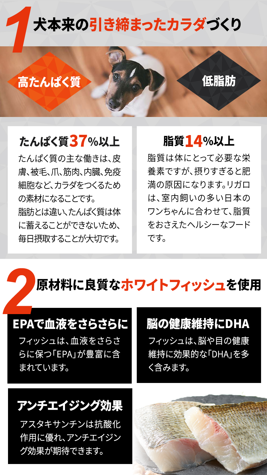 リガロ ハイプロテインレシピ 子犬成犬用 ホワイトフィッシュ 12kg