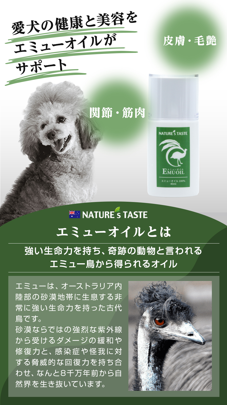 ネイチャーズテイスト（NATURE's TASTE） エミューオイル 40ml 犬 猫