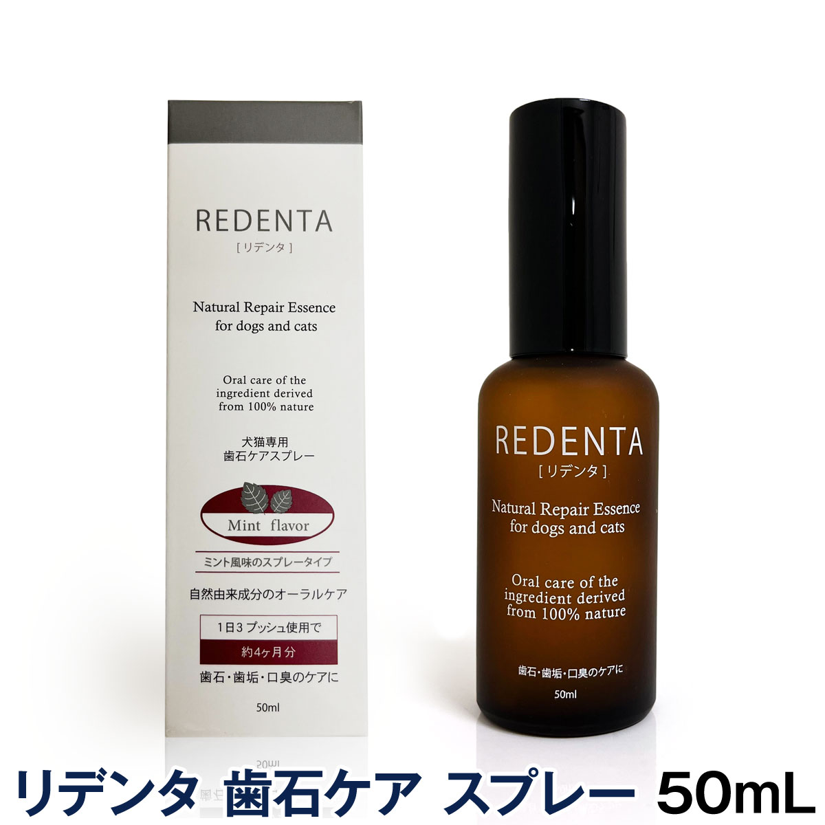 L ΂Ƀg{ ReDenta f^ Xv[ 50ml  f^PA hbO ݂͂ t̎ C  LPA 