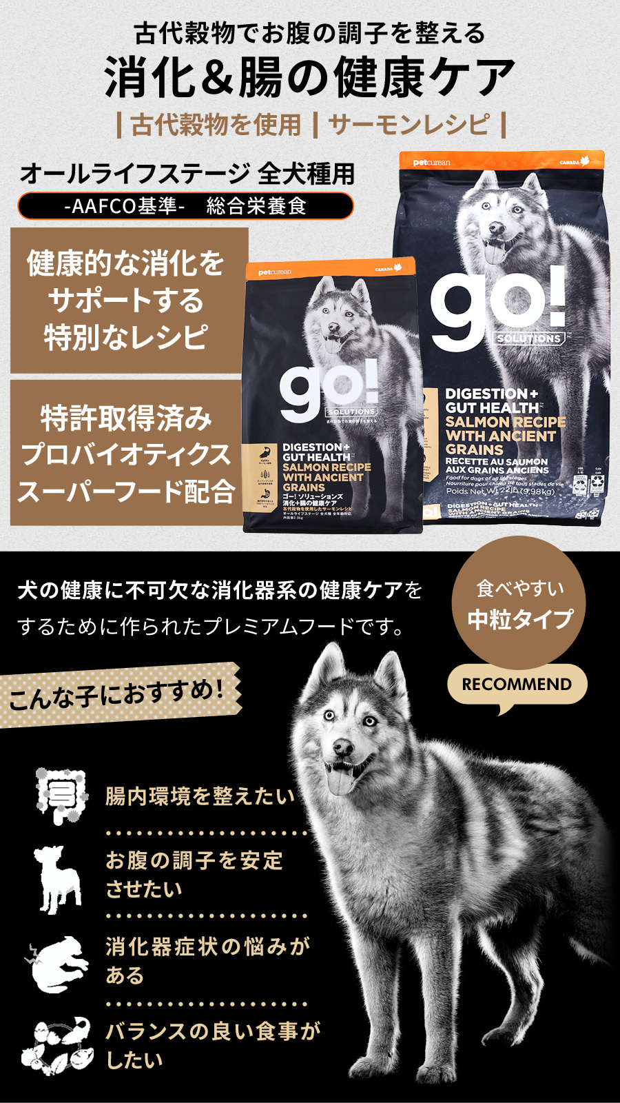 2025年3月3日価格改定)GO! ゴー ソリューションズ 消化+腸の健康