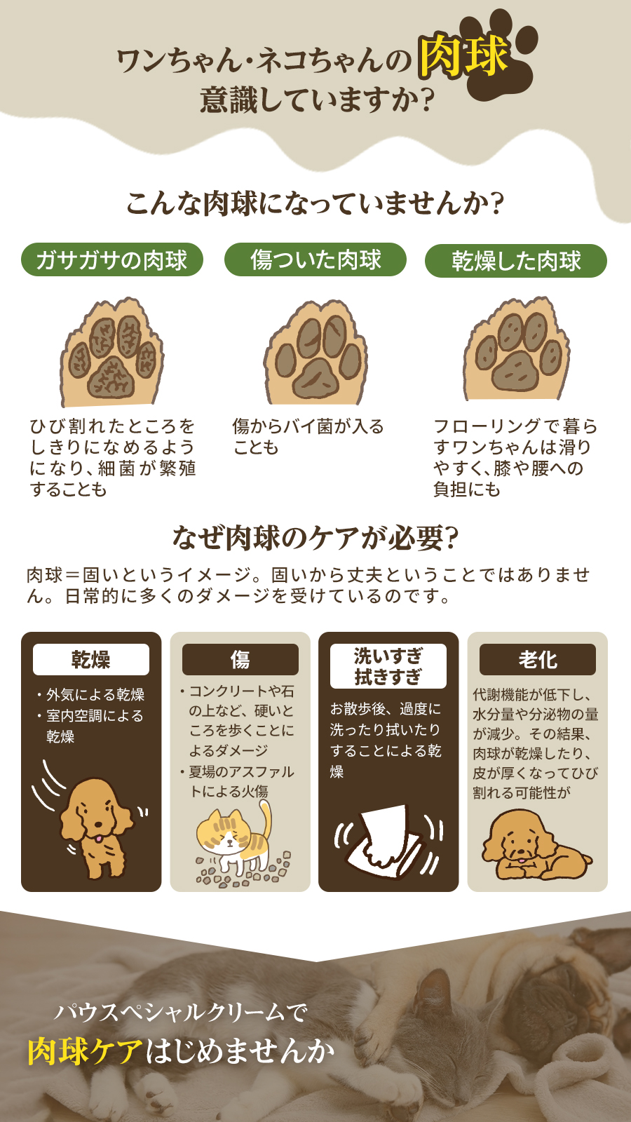 肉球クリーム ペットキララ パウスペシャルクリ...の詳細画像2