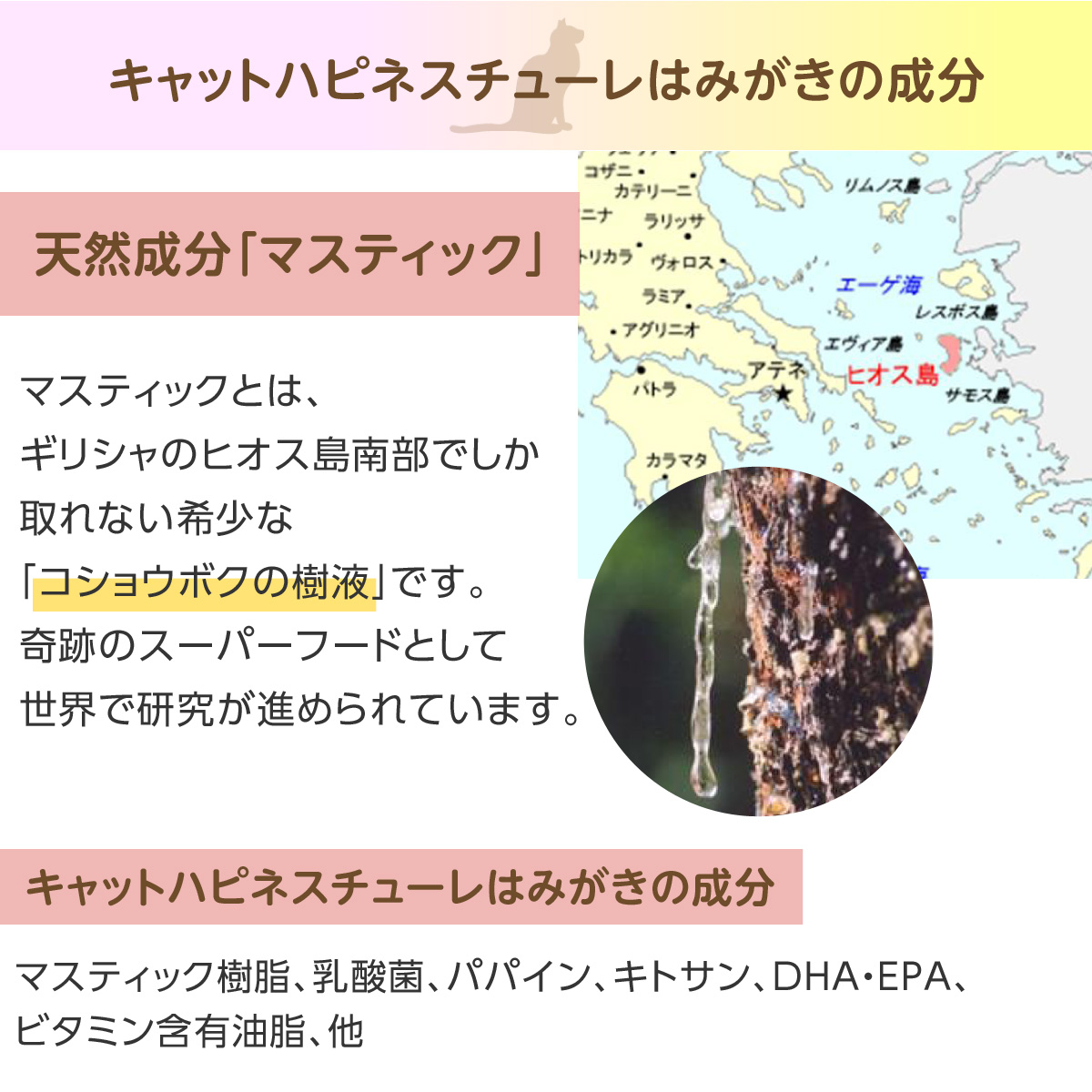 キャットハピネス チューレはみがき 22g 追跡可能メール便のみ送料無料（同梱不可）歯磨き |  | 02