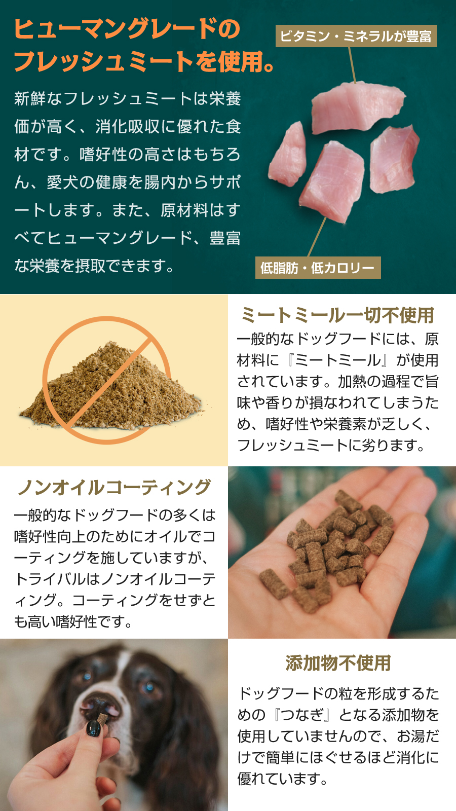 メーカー在庫限りで販売終了](年始までプレゼント種類増量中