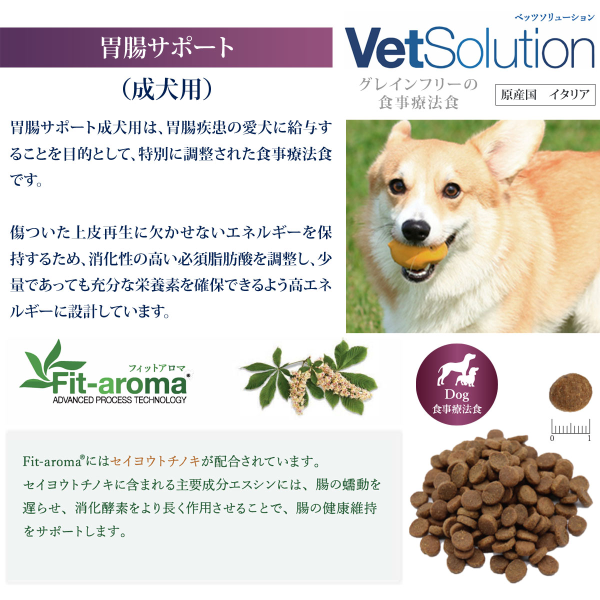 ベッツソリューション 胃腸サポート 成犬用 800g【正規品】 犬 