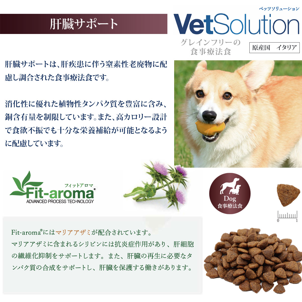 Monge VetSolultion 肝臓サポート