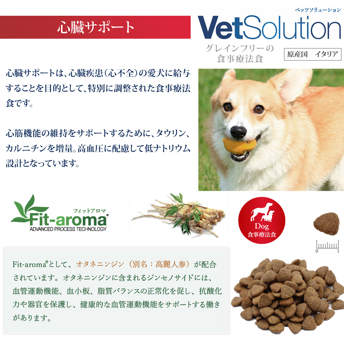 Monge VetSolultion 心臓サポート