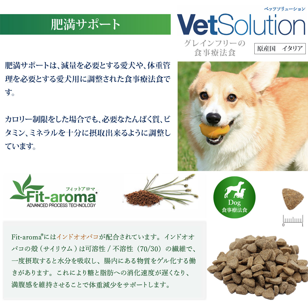 Monge VetSolultion 肥満サポート