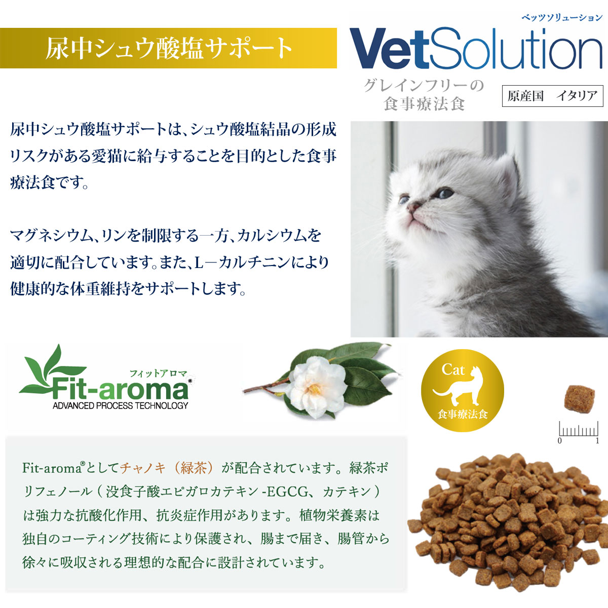 (選べるプレゼント付き)ベッツソリューション 尿中シュウ酸塩サポート 2kg 猫 キャットフード アダルト 成猫 尿pHを制御 低カルシウム 療法食