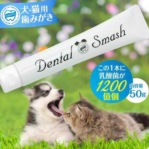今人 犬猫用 歯磨き デンタルスマッシュ トゥースペースト 50g