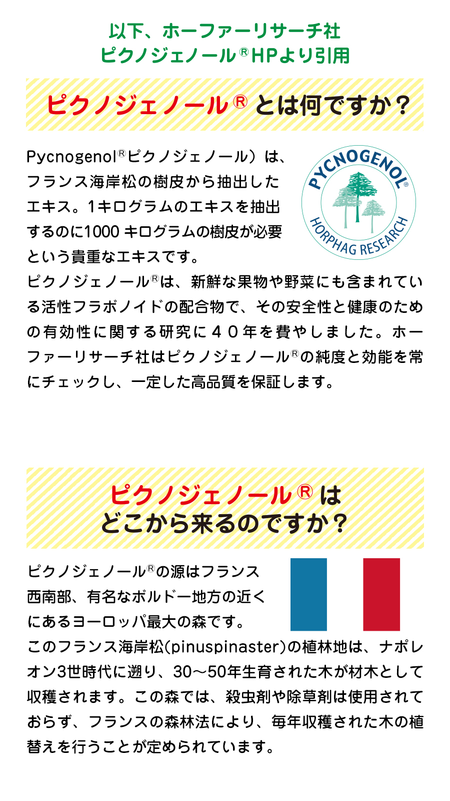 ジョイントファインプラス