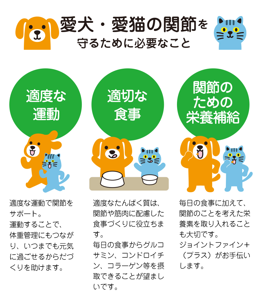 ジョイントファインプラス