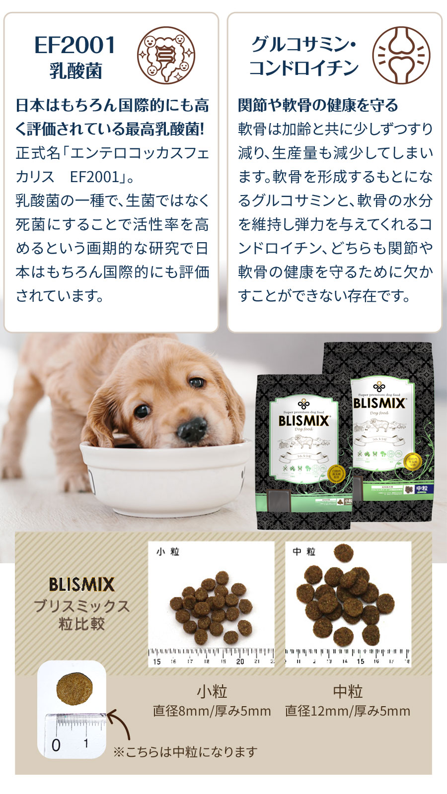 BLISMIX（ブリスミックス） ラム 中粒1kg 犬 ドッグフード 全年齢
