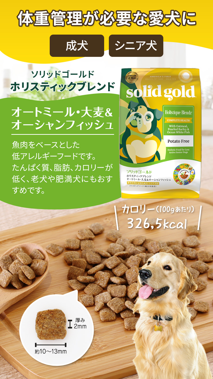 ソリッドゴールドのおすすめ人気商品一覧 通販 - Yahoo!ショッピング