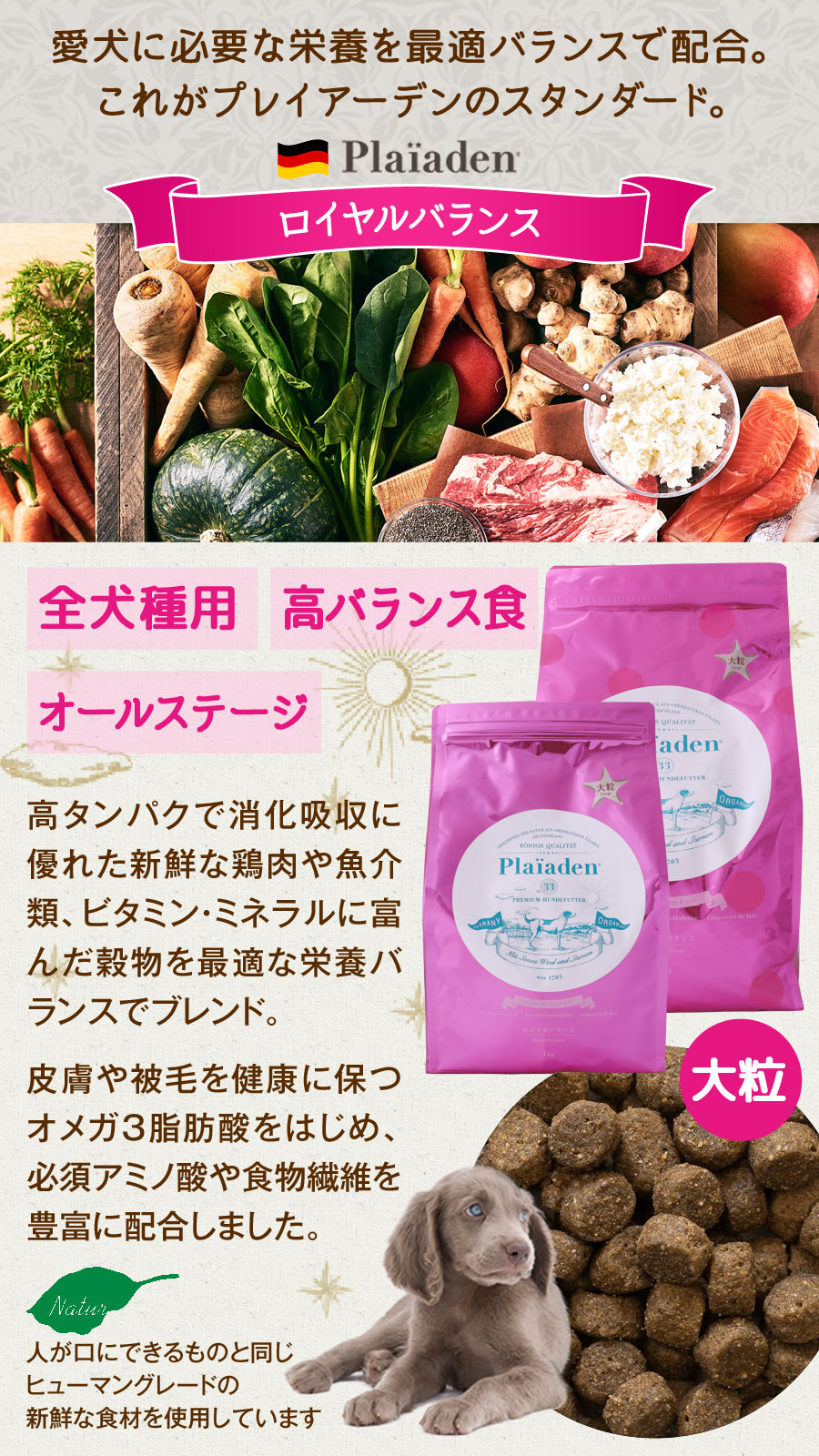 プレイアーデン プレミアムドライフード ロイヤルバランス ラージサイズ（大粒） 3kg 鶏 チキン ドッグ 犬 ドック フード_1