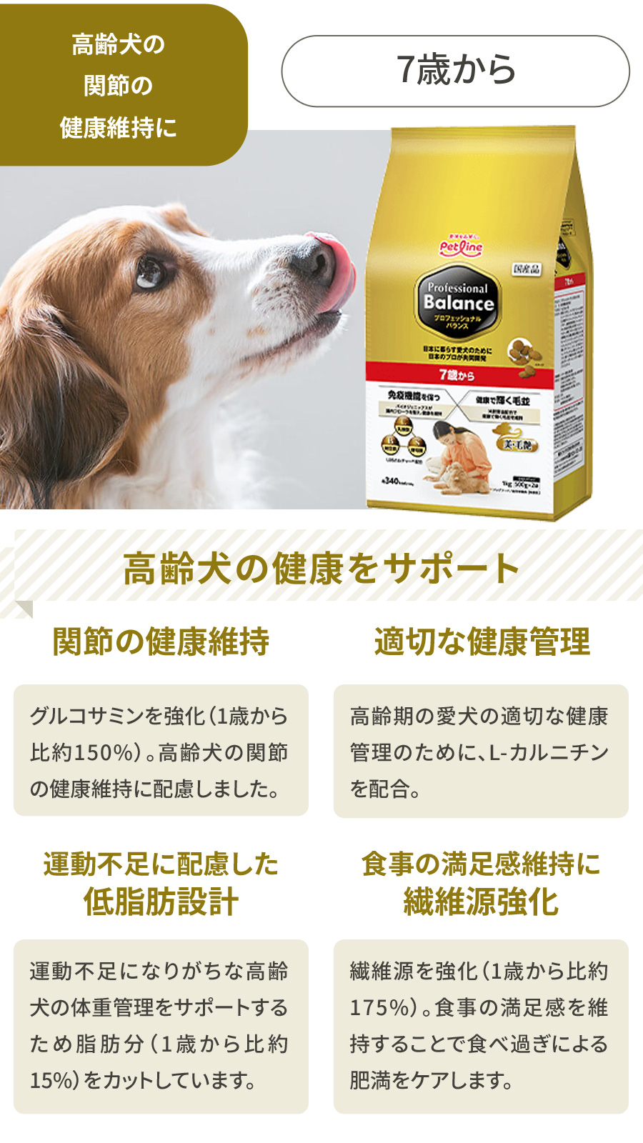 プロフェッショナルバランス　7歳から