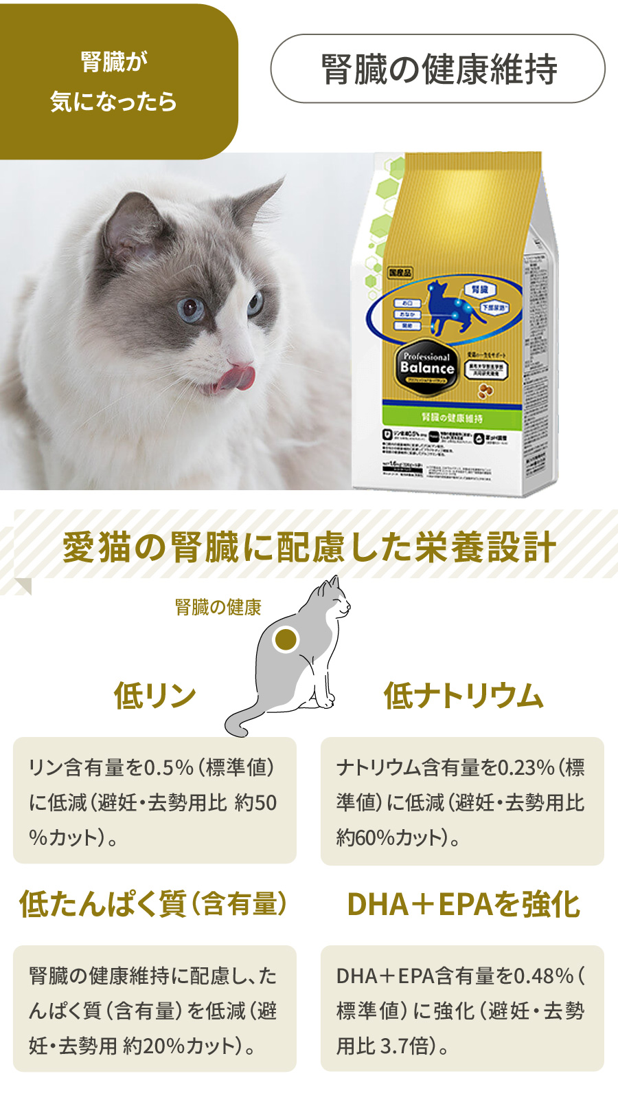 プロフェッショナルバランス　腎臓の健康維持