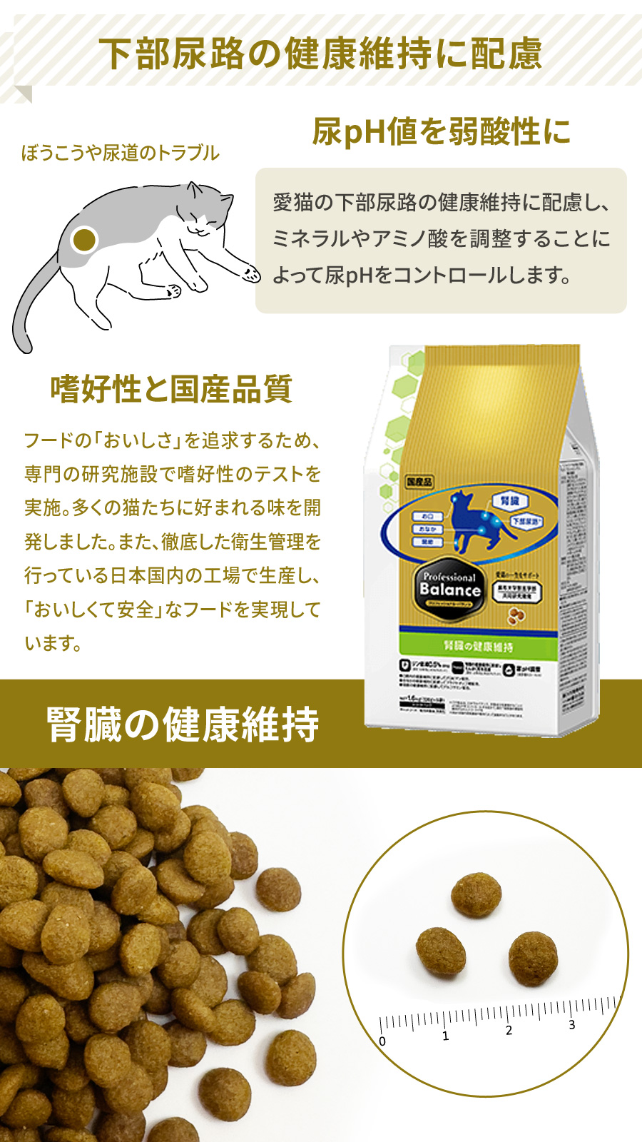 プロフェッショナルバランス　腎臓の健康維持