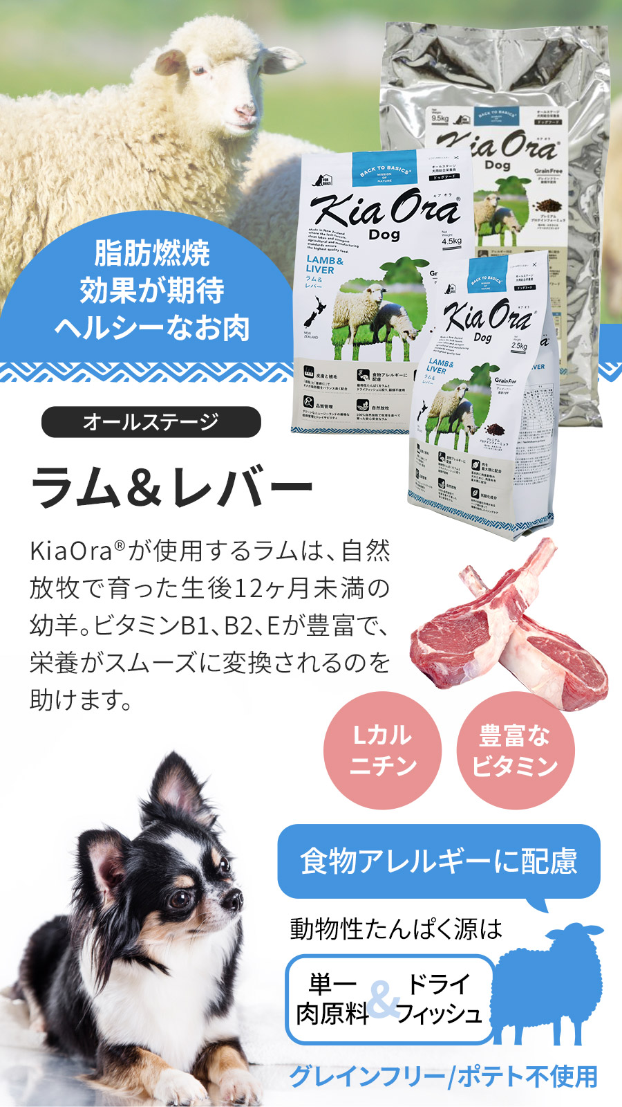 (選べるプレゼント付き)キアオラ KiaOra ドッグフード ラム＆レバー 4.5kg 犬 ドック グレインフリー 羊 穀物不使用 パピー アダルト シニア 全年齢の画像