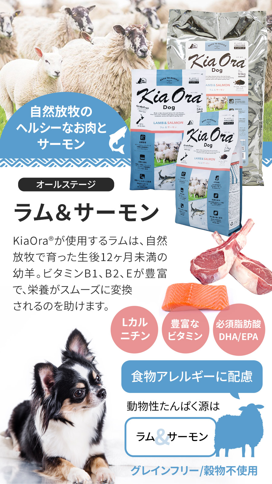 Kia Ora（キアオラ） ドッグフード ラム&サーモン 2.7kg 犬 ドック