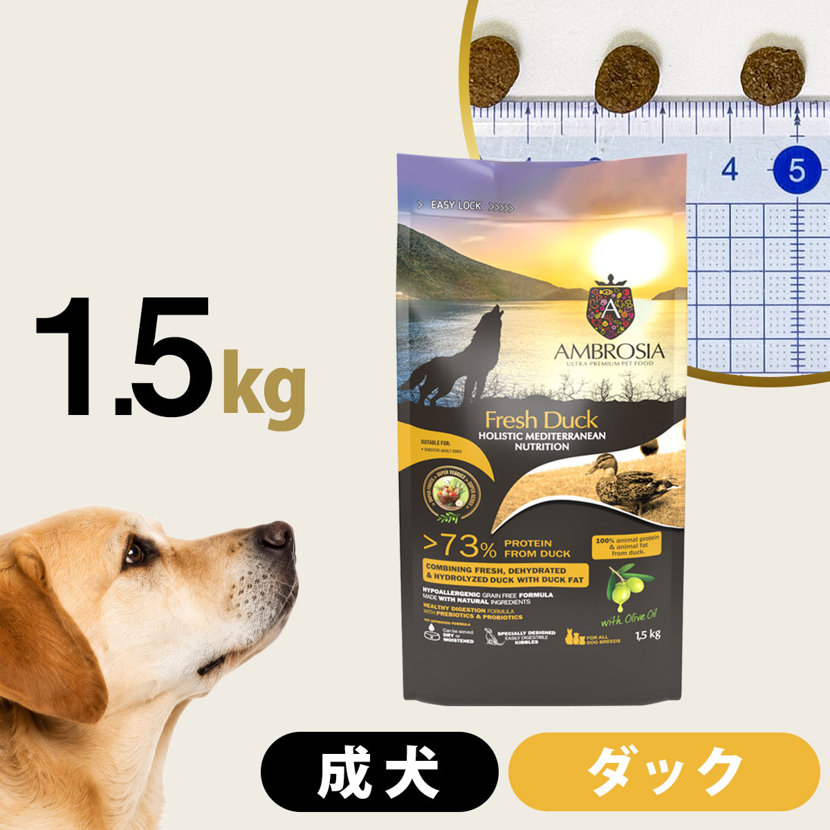 アンブロシア HMN ダック 1.5kg ドッグフード 犬 成犬 ホリスティック シングルプロテイン グレインフリー ダック プロバイオティクス