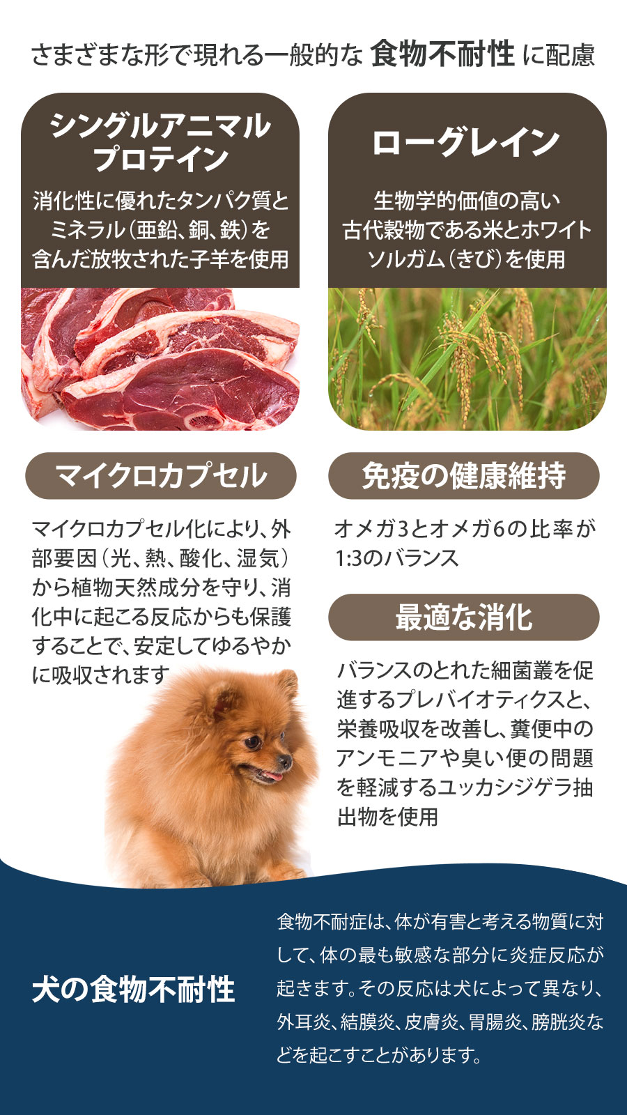 (選べるプレゼント付き)フォルツァ10 FORZA10 デイリープロ アダルトミニ ラム 小粒 3.6kg 犬 フォルツァ10 低アレルギー 羊