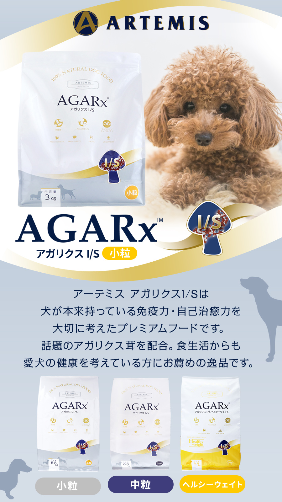 アーテミスアガリクス小粒