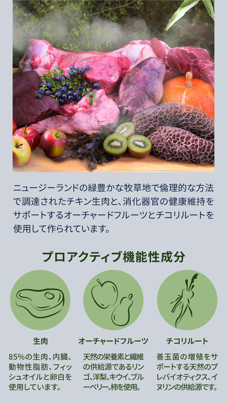 ZiwiPeak ジウィピーク スチーム&ドライ・ドッグフード ケージフリー