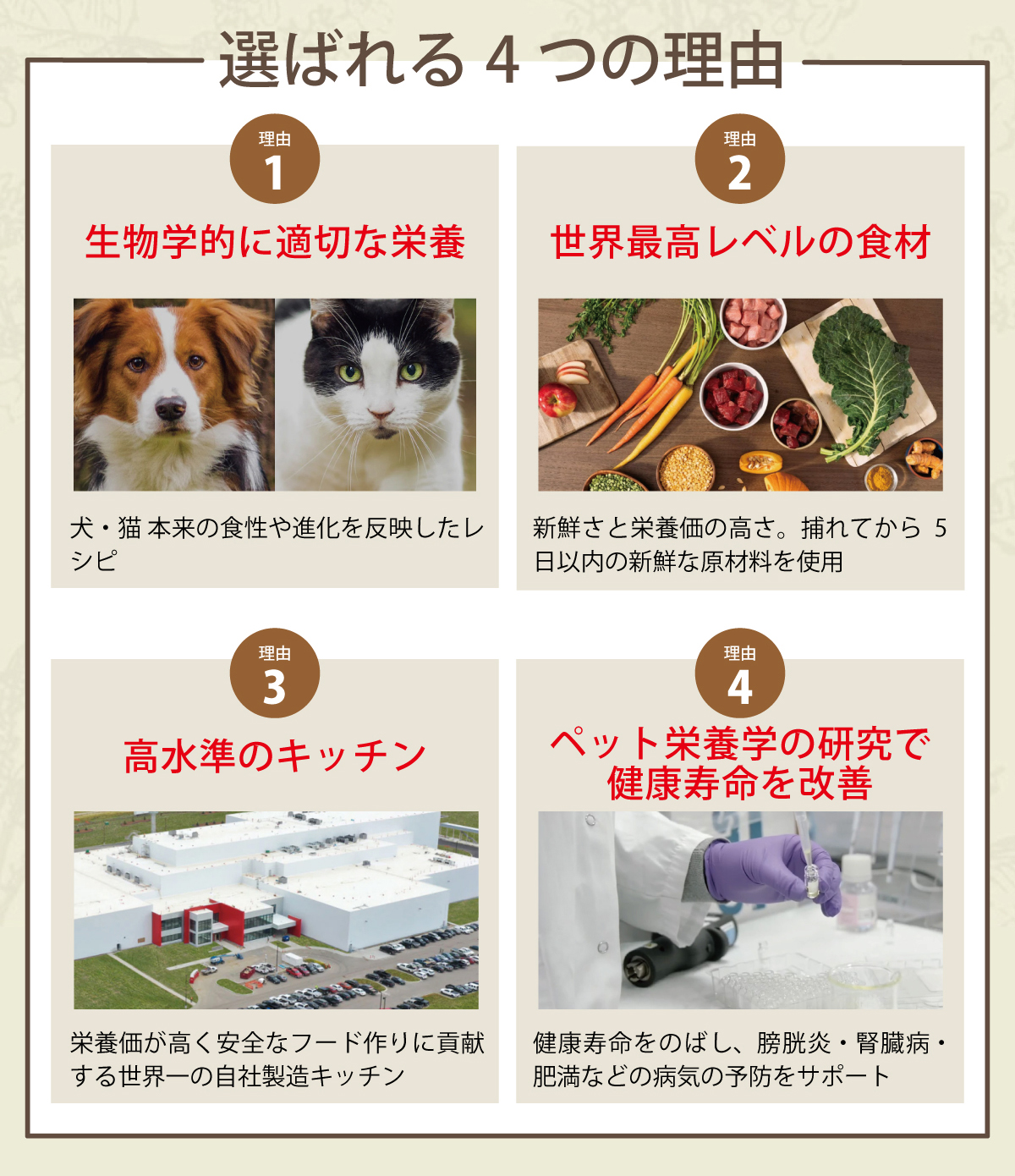 ACANA（アカナ） (選べるプレゼント付き)アカナ スポーツ&アジリティ