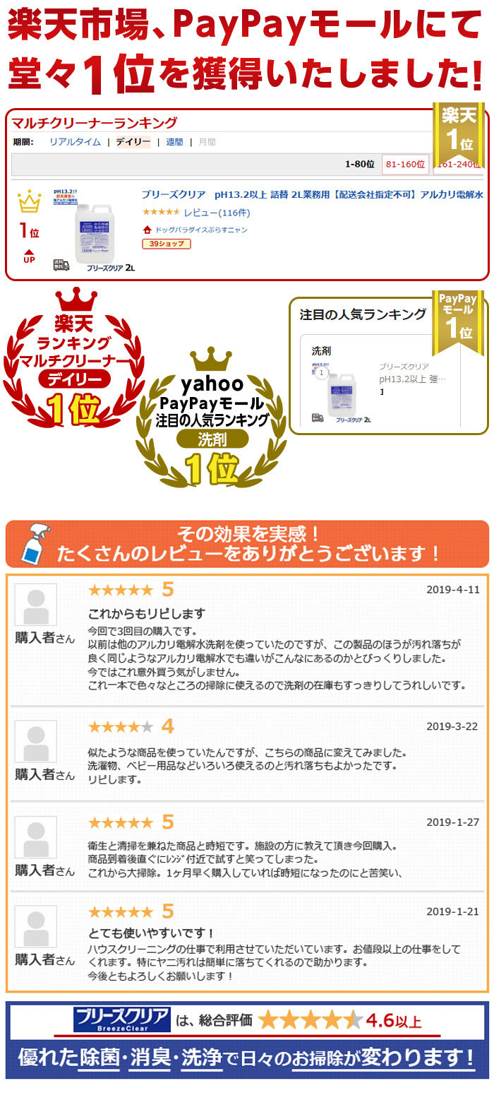 ランキング レビュー紹介