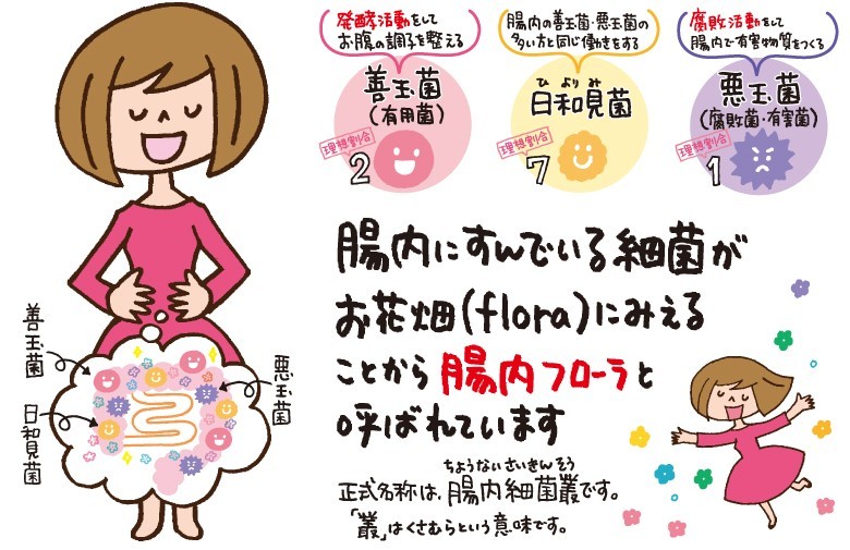 ドッグパラダイスぷらすニャン別館 腸活日和 サプリメント 健康食品 Yahoo ショッピング
