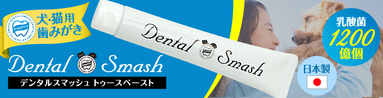 デンタルスマッシュ　歯磨き