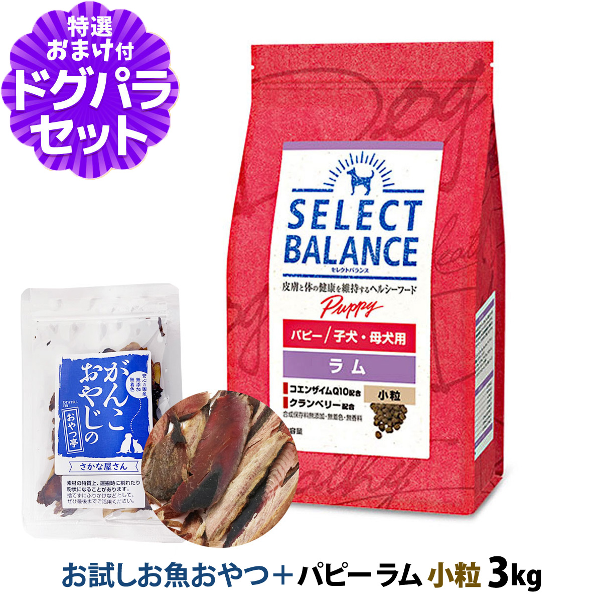 (2024年10月1日価格改定)【原材料等の表記変更済】セレクトバランス パピー ラム 小粒3kg ＋お試し国産お魚厚削り 15g 幼犬 ラム 羊 コエンザイムQ10