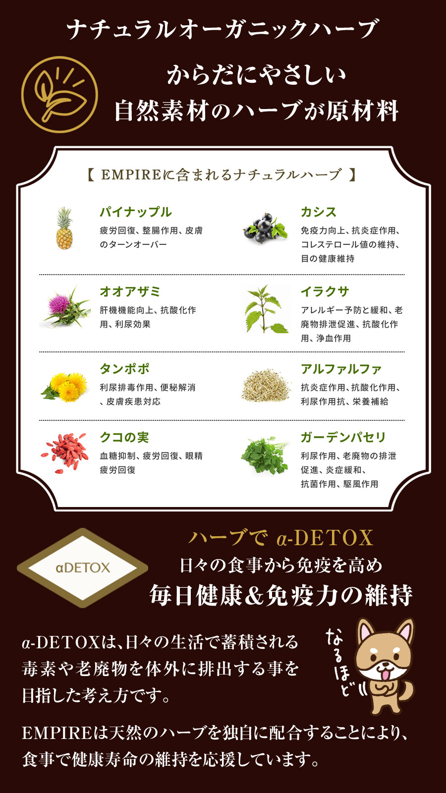 選べるプレゼント付き)エンパイア EMPIRE アダルトデイリー 小粒 12kg