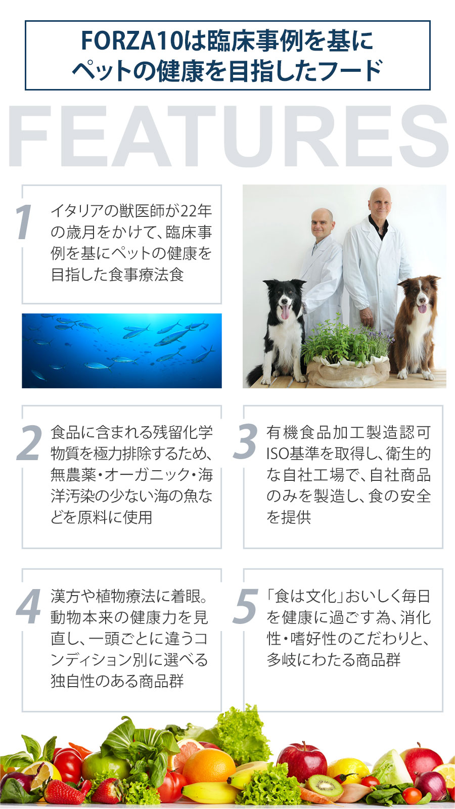 フォルツァ10