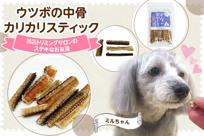 犬 おやつ 無添加 国産 がんこおやじのおやつ亭 ウツボの中骨カリカリスティック 40g ウツボ 魚 デンタルケア カルシウム  :4582583293964:ドッグパラダイスぷらすニャン別館 通販 
