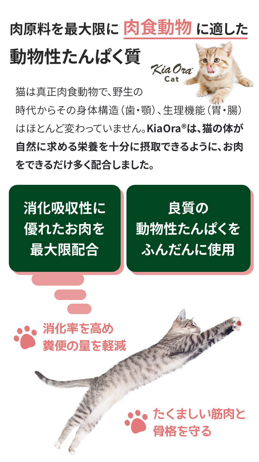 (選べるプレゼント付き)キアオラ KiaOra キャットフード ラム&レバー 2.7kg 猫 グレインフリー 穀物不使用 キトン アダルト シニア 全年齢_2