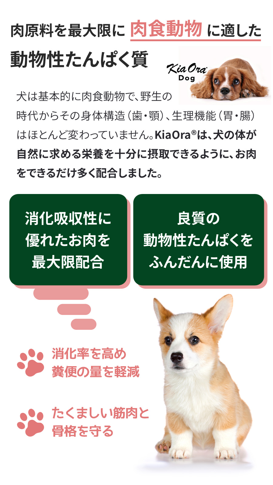 Kia Ora キアオラ KiaOra ドッグフード カンガルー 2.5kg 犬